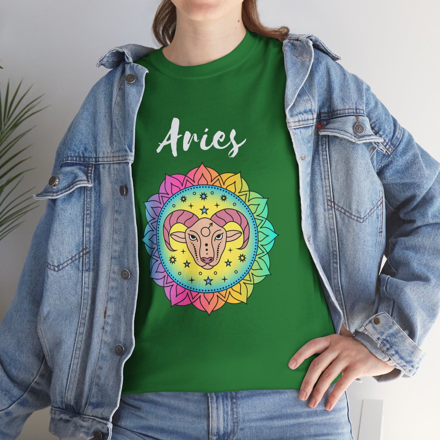 Aries Color T-shirt