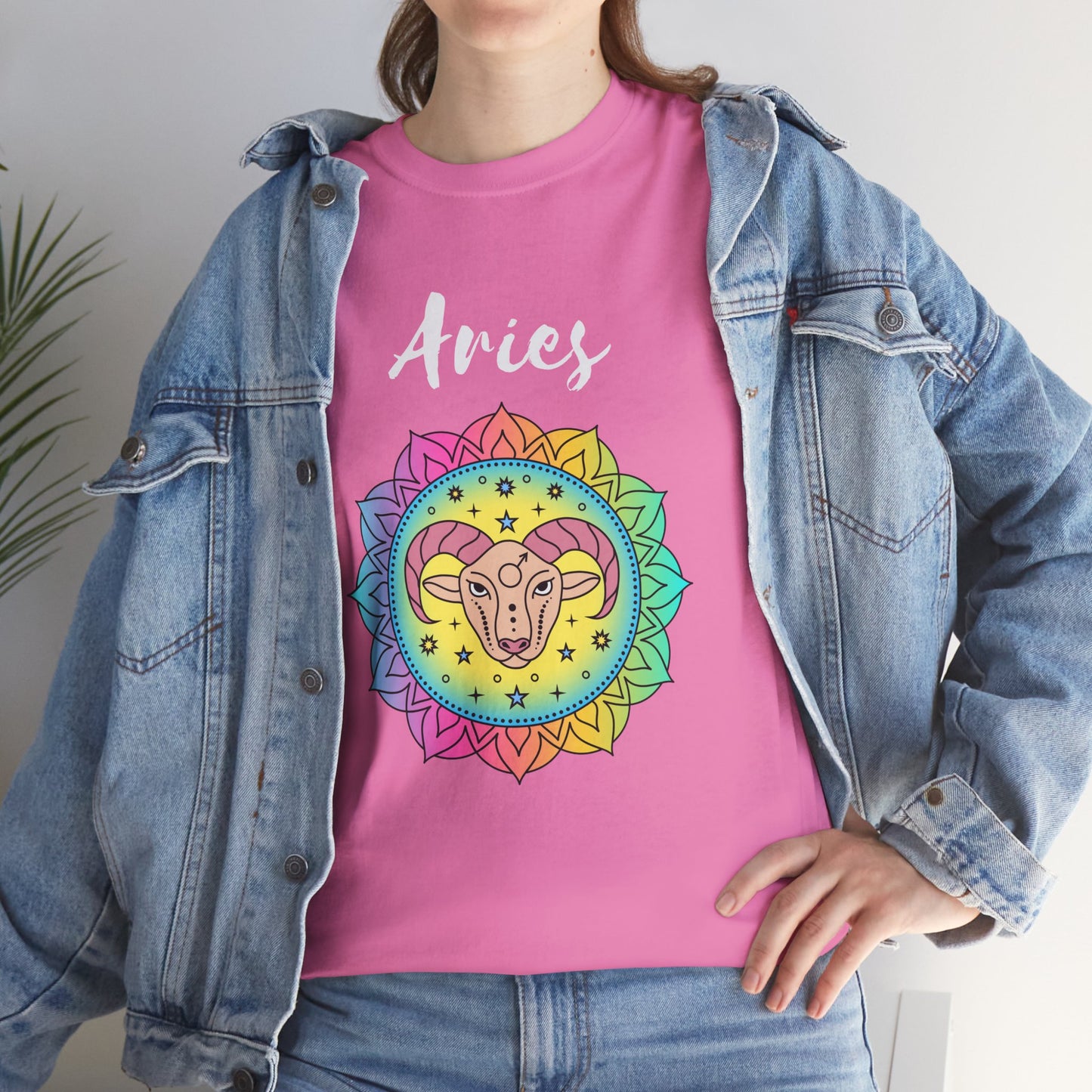 Aries Color T-shirt