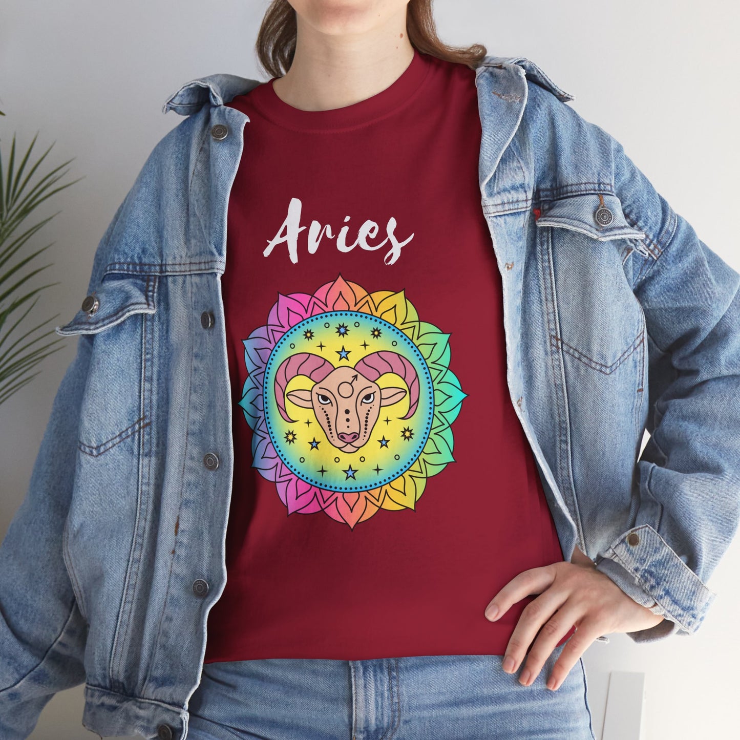 Aries Color T-shirt