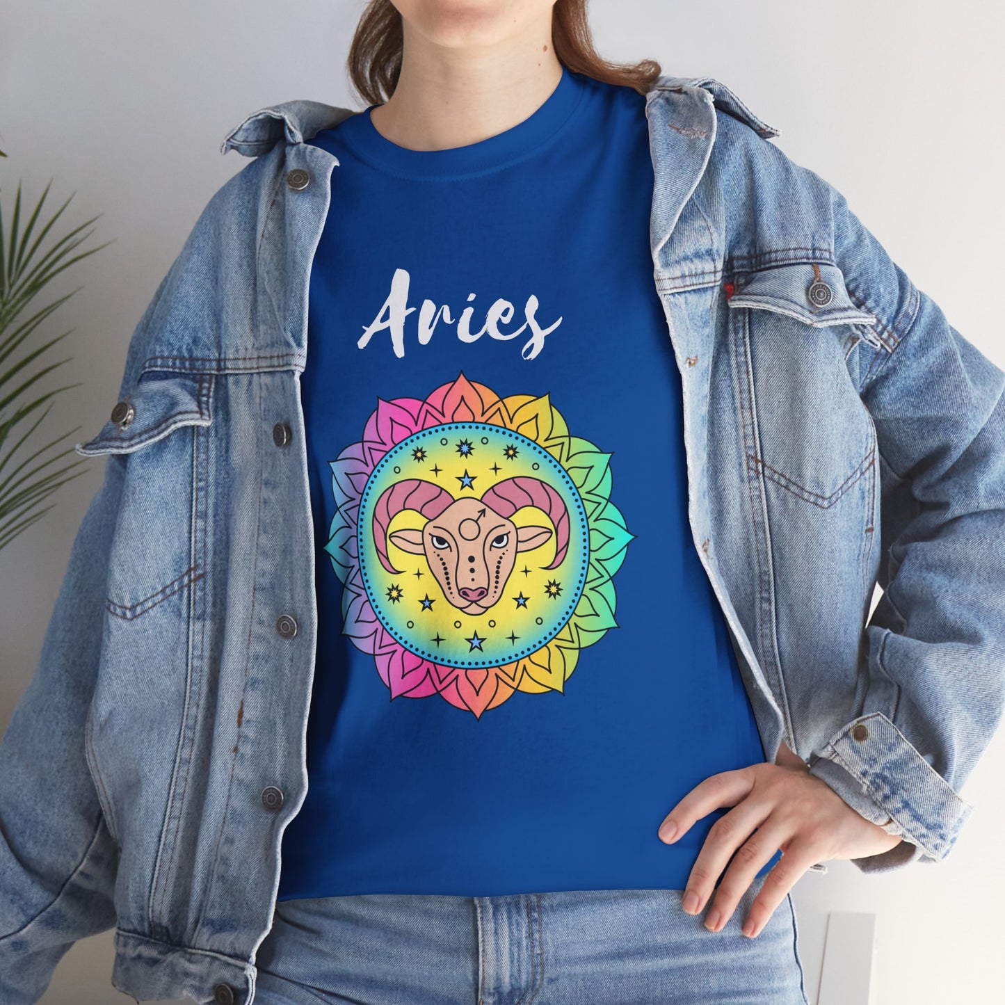 Aries Color T-shirt