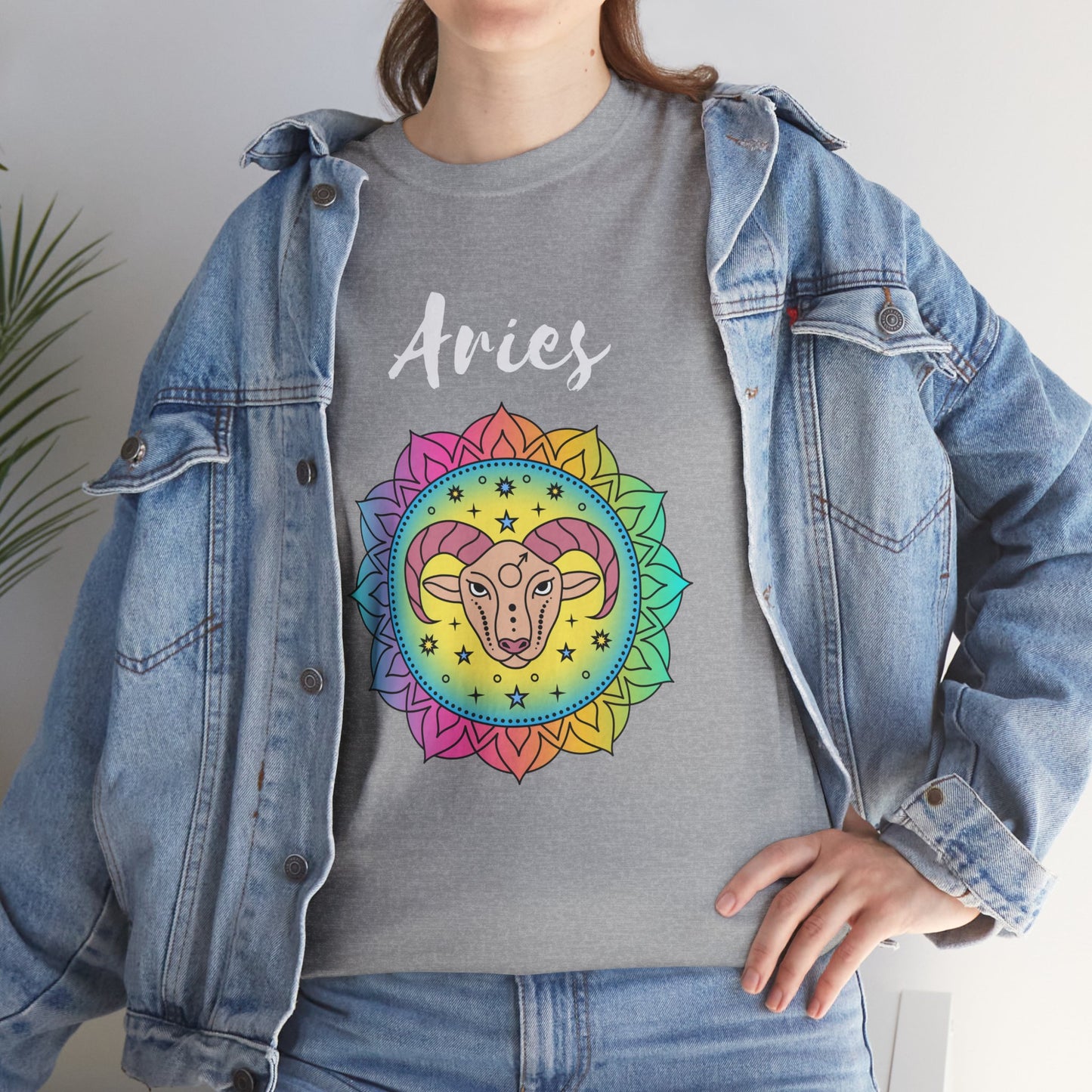Aries Color T-shirt