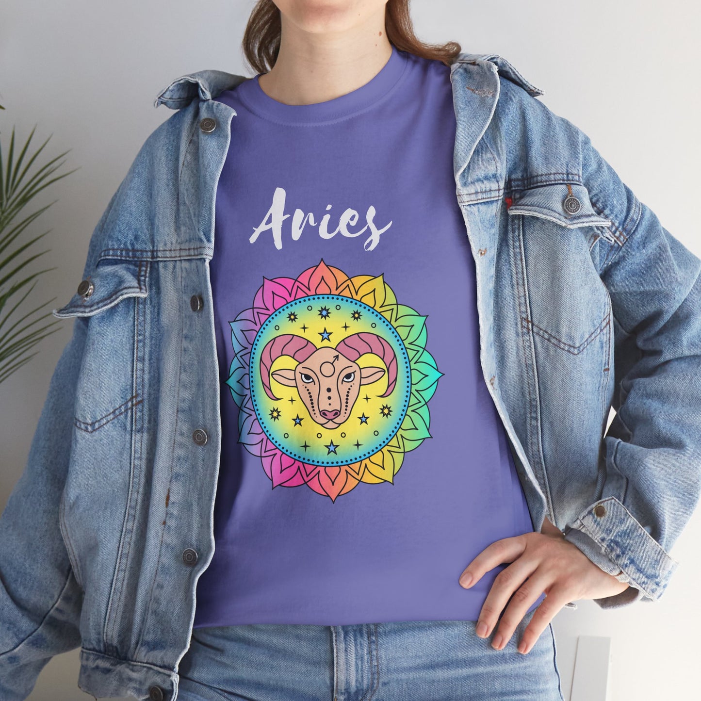 Aries Color T-shirt